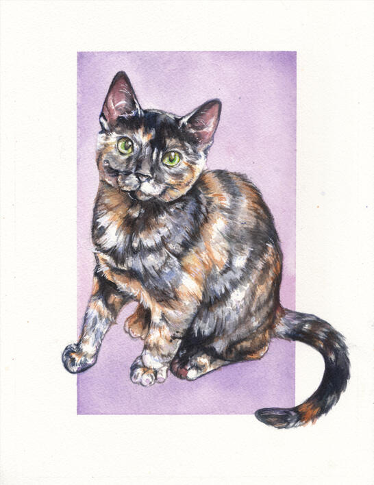 Commission: Pet portrait
